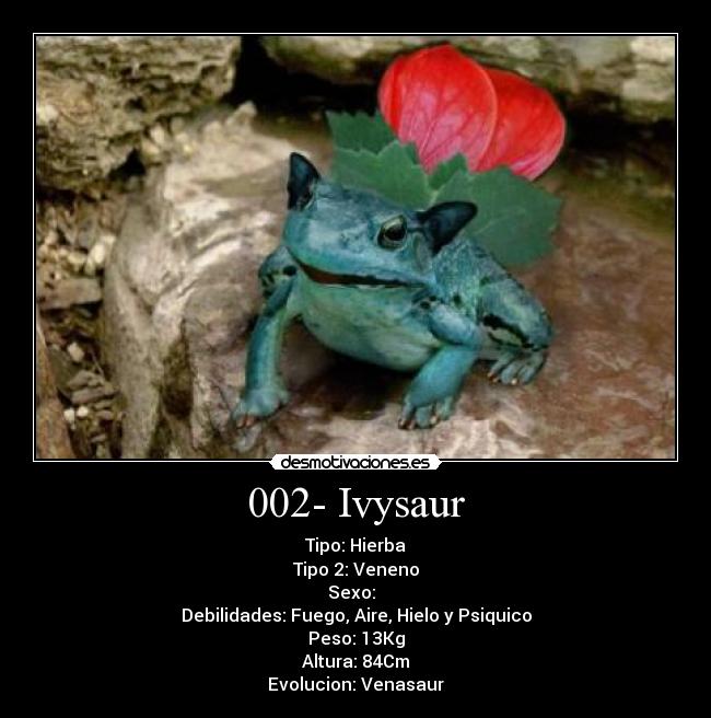 002- Ivysaur -