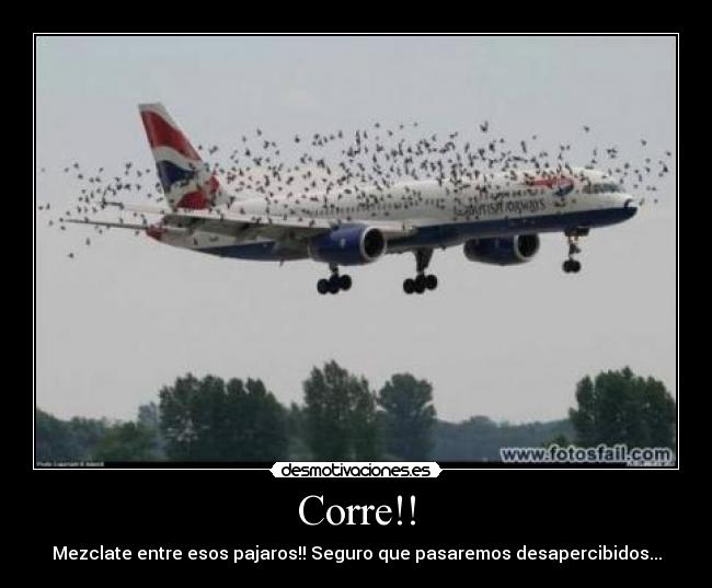 Corre!! -