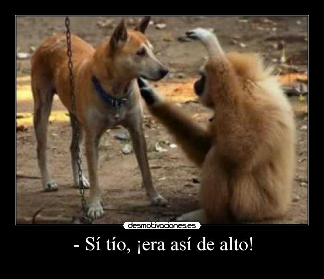 - Sí tío, ¡era así de alto! -