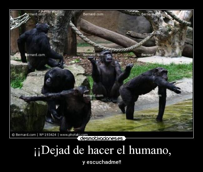 ¡¡Dejad de hacer el humano, -