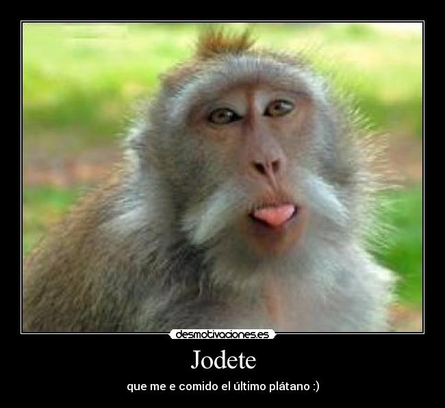 Jodete -