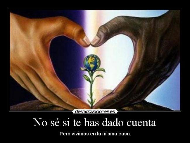 No sé si te has dado cuenta - Pero vivimos en la misma casa.