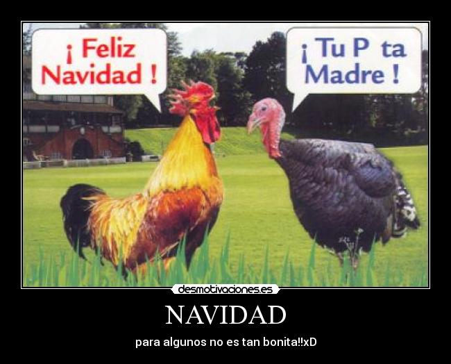 NAVIDAD -