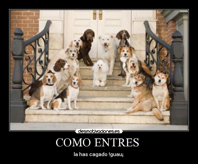 COMO ENTRES -
