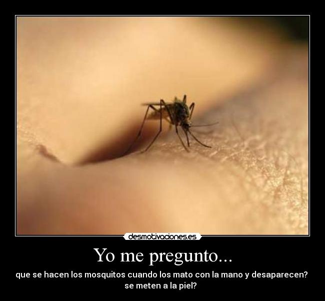 Yo me pregunto... - que se hacen los mosquitos cuando los mato con la mano y desaparecen? 
se meten a la piel? ╗╗