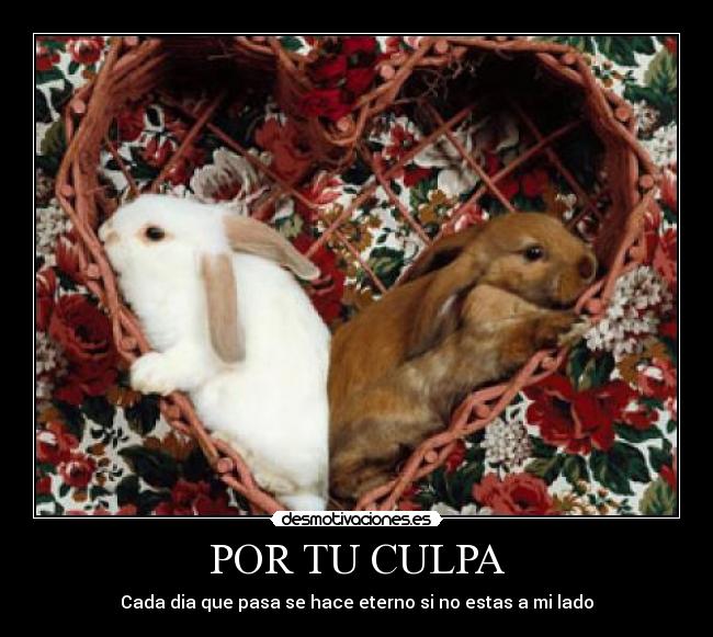 POR TU CULPA -