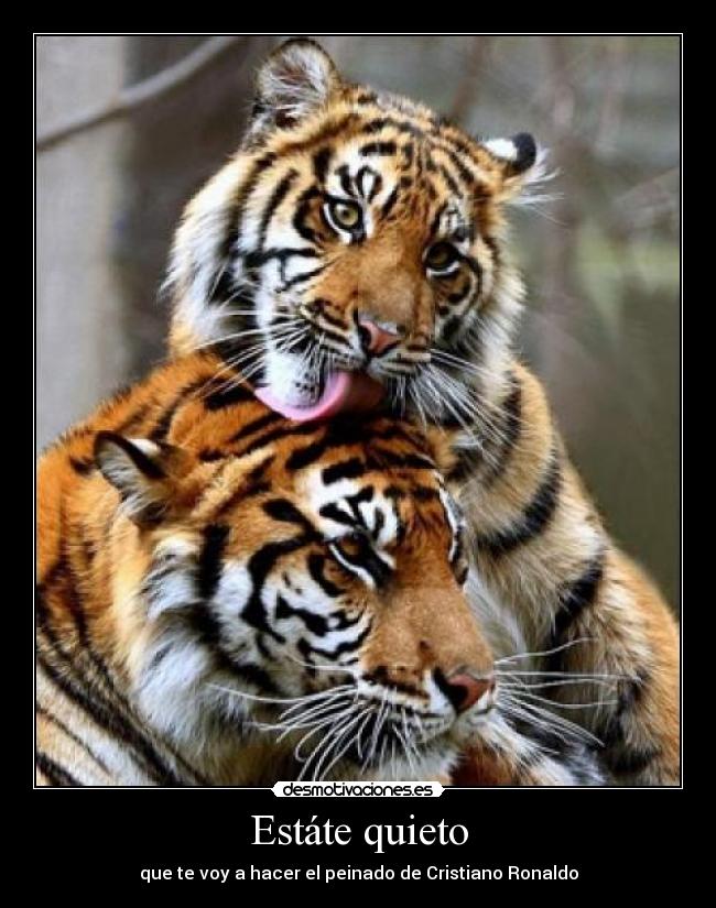 Estáte quieto -