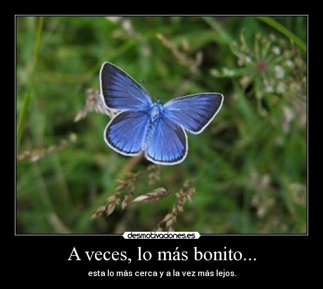 A veces, lo más bonito... - esta lo más cerca y a la vez más lejos.