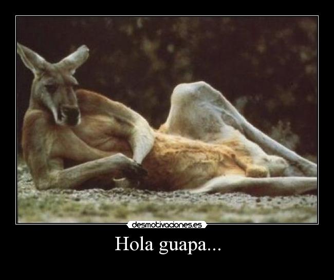 Hola guapa... - 