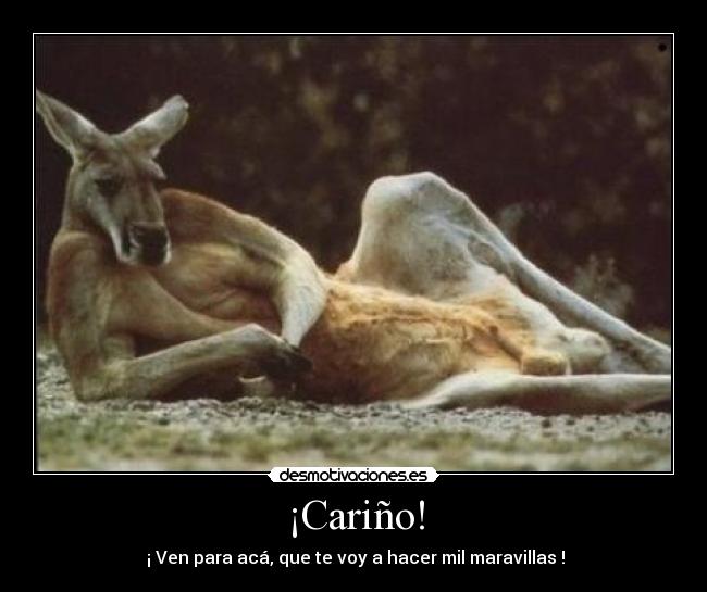 ¡Cariño! -