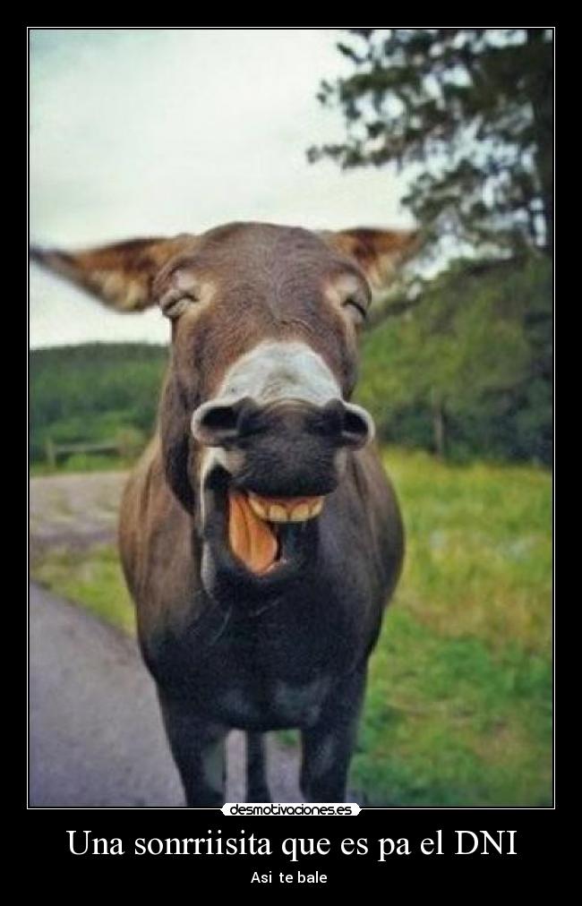 Una sonrriisita que es pa el DNI - 