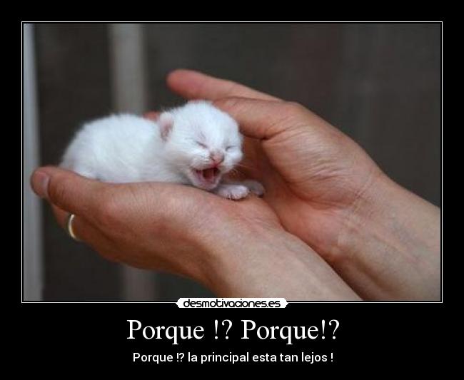 Porque !? Porque!? -