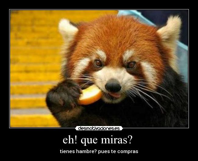 eh! que miras?  - 