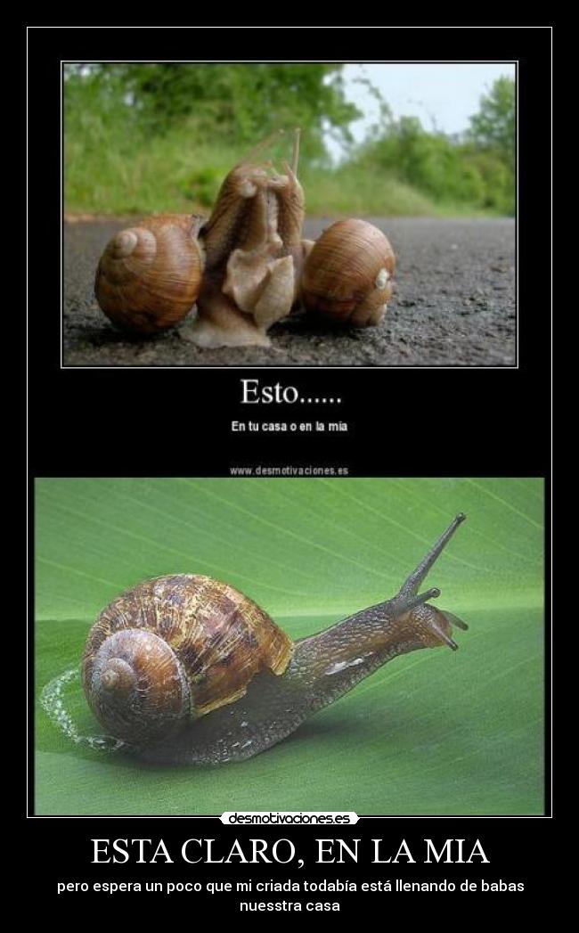 ESTA CLARO, EN LA MIA - 