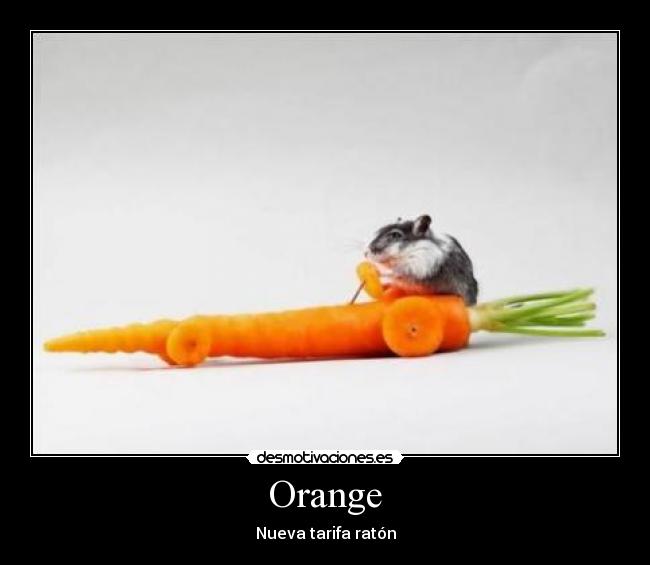 Orange - 