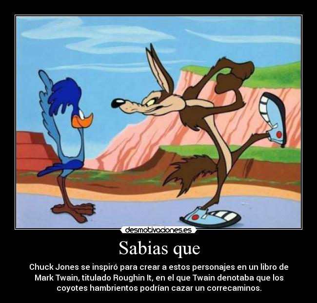 Sabias que - Chuck Jones se inspiró para crear a estos personajes en un libro de
Mark Twain, titulado Roughin It, en el que Twain denotaba que los
coyotes hambrientos podrían cazar un correcaminos.