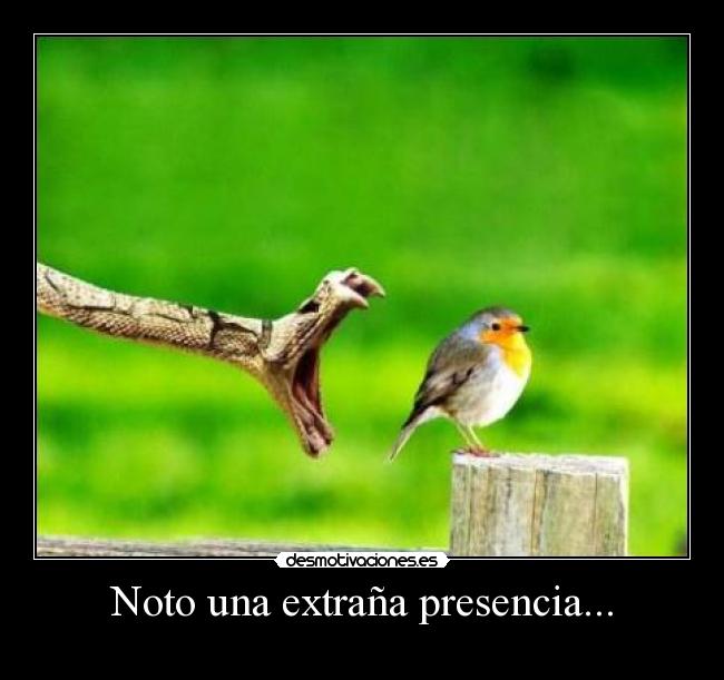 Noto una extraña presencia... - 