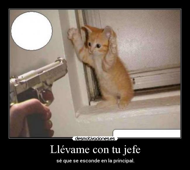 Llévame con tu jefe -