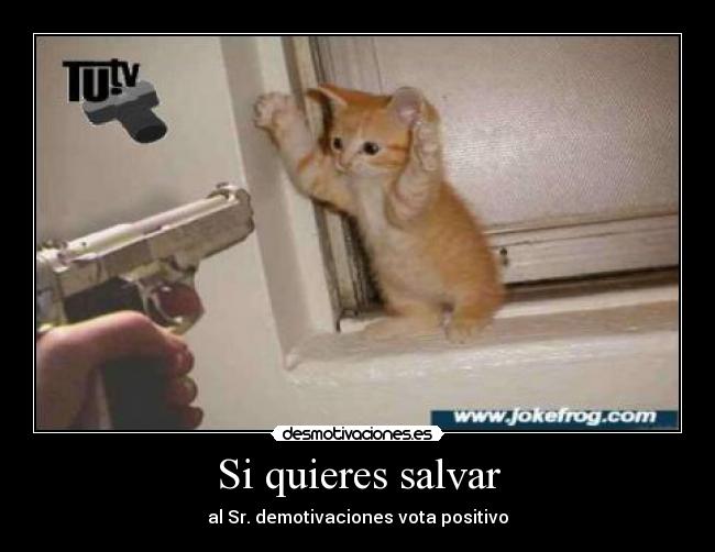 carteles king99 desmotivaciones