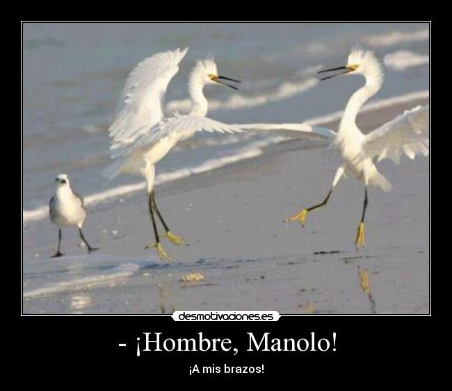 carteles hombre manolo desmotivaciones