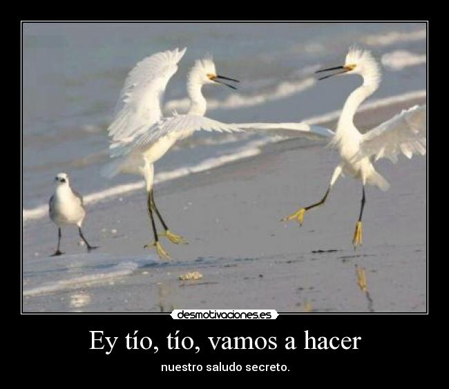 Ey tío, tío, vamos a hacer - nuestro saludo secreto.