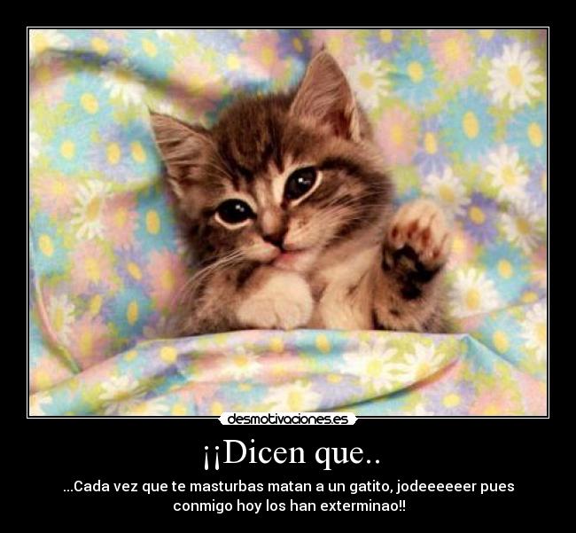 ¡¡Dicen que.. -
