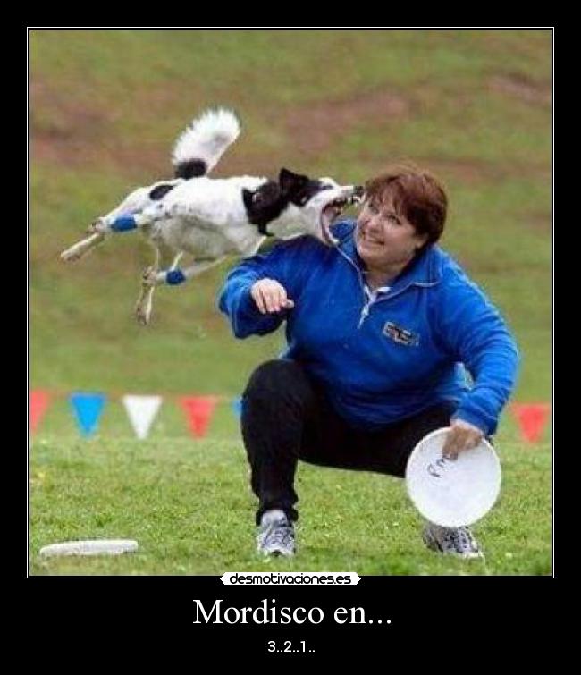 Mordisco en... - 3..2..1..