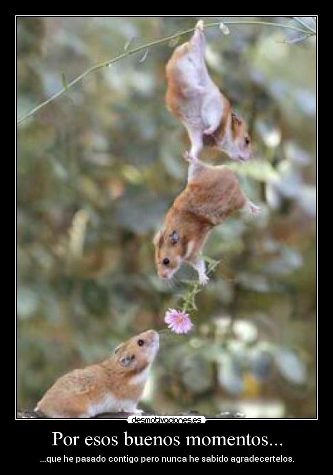 Por esos buenos momentos... - 