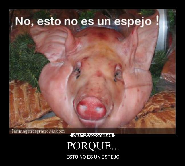 PORQUE... - 