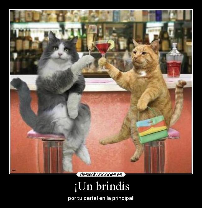 ¡Un brindis -