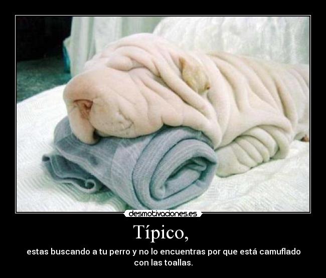 Típico,  - 
