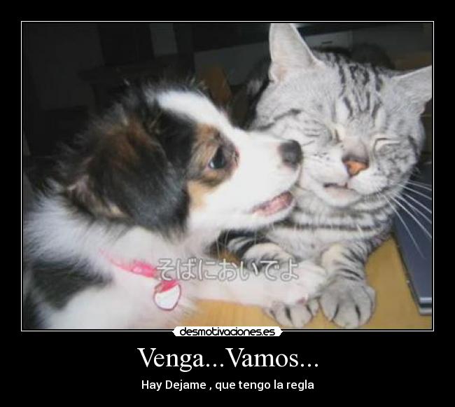 Venga...Vamos... - Hay Dejame , que tengo la regla