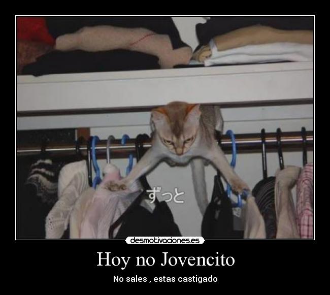 Hoy no Jovencito - No sales , estas castigado