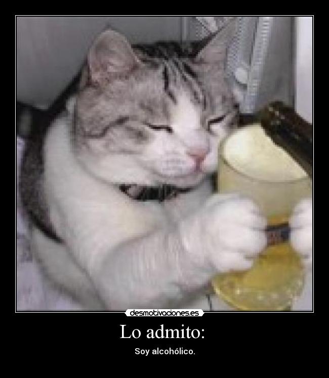 Lo admito: - Soy alcohólico.