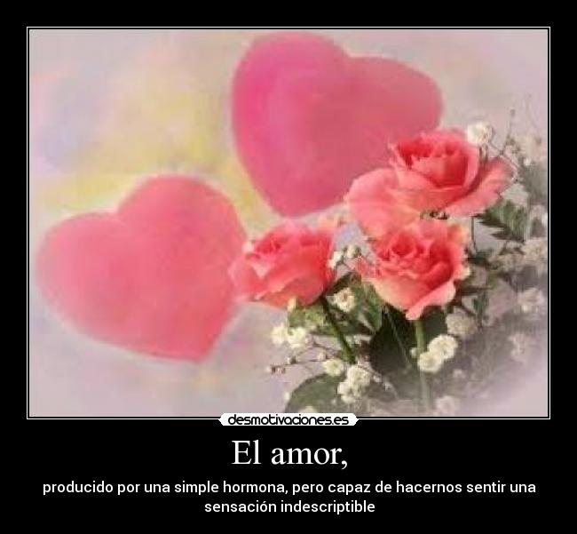 El amor, - 