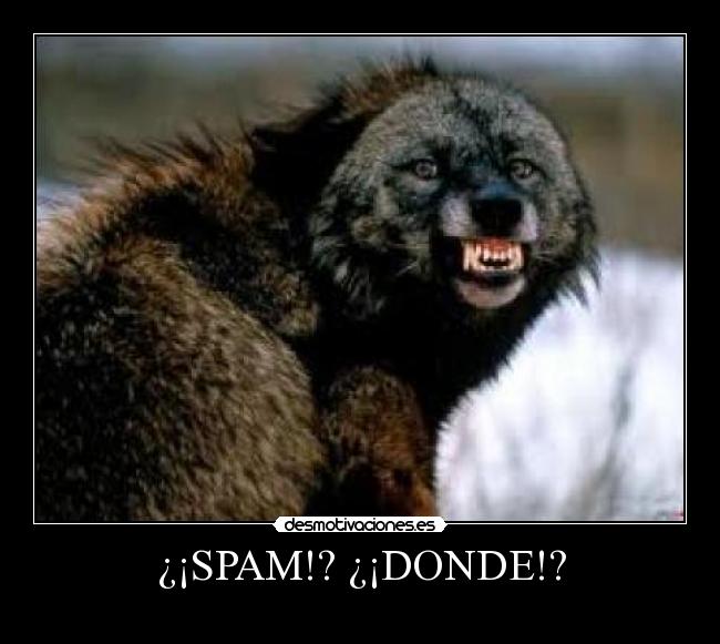¿¡SPAM!? ¿¡DONDE!? - 