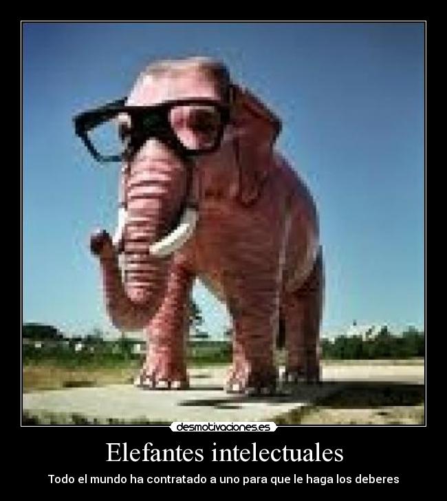 Elefantes intelectuales - Todo el mundo ha contratado a uno para que le haga los deberes