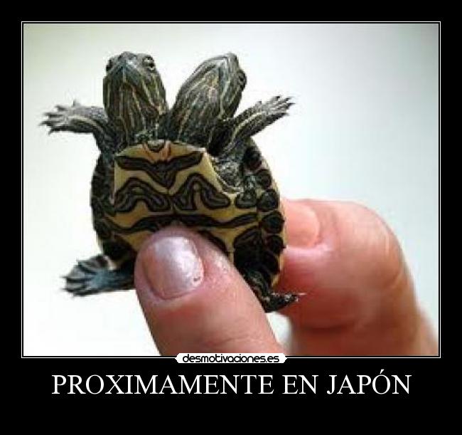 PROXIMAMENTE EN JAPÓN -