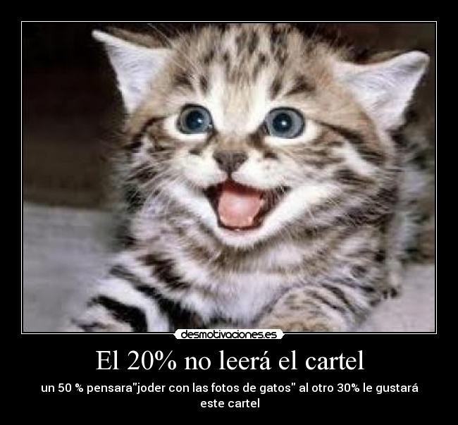 El 20% no leerá el cartel -