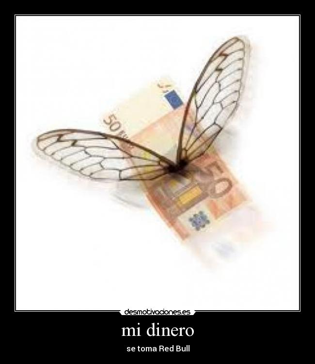 mi dinero - 