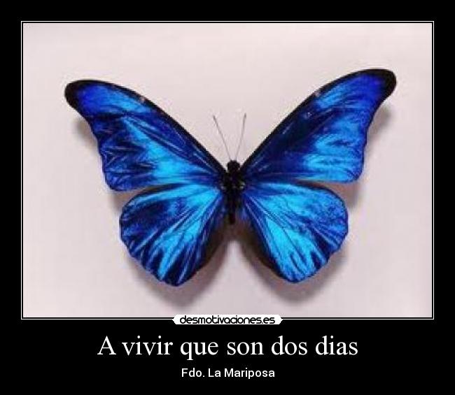 A vivir que son dos dias -