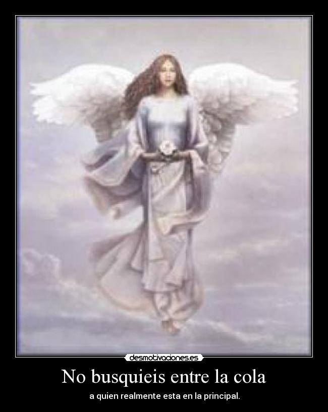 No busquieis entre la cola - 