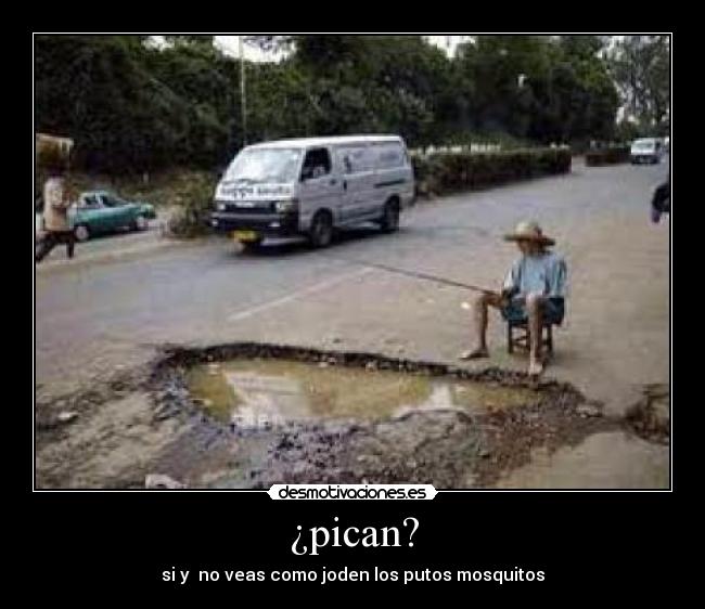 ¿pican? - 