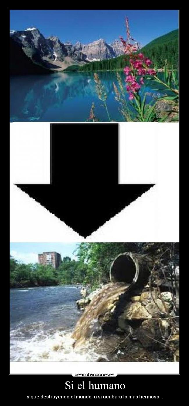 Si el humano - sigue destruyendo el mundo a si acabara lo mas hermoso...