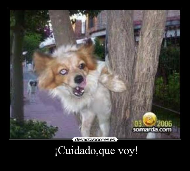 ¡Cuidado,que voy! -