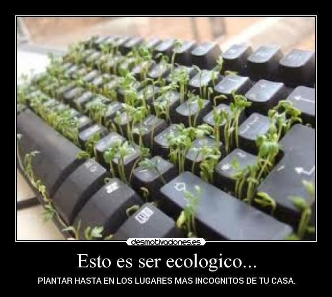 Esto es ser ecologico... - 