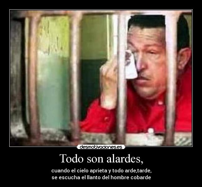 Todo son alardes, -