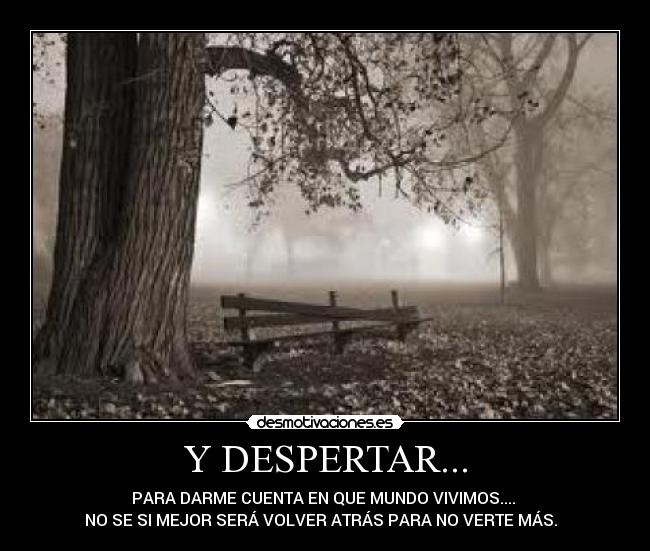 Y DESPERTAR... - PARA DARME CUENTA EN QUE MUNDO VIVIMOS....
NO SE SI MEJOR SERÁ VOLVER ATRÁS PARA NO VERTE MÁS.