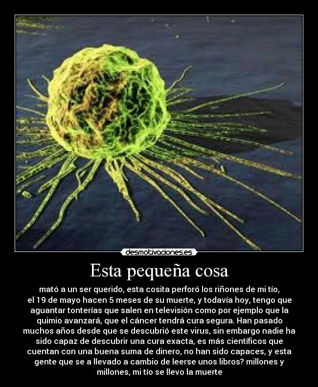 Esta pequeña cosa - mató a un ser querido, esta cosita perforó los riñones de mi tío,
el 19 de mayo hacen 5 meses de su muerte, y todavía hoy, tengo que
aguantar tonterías que salen en televisión como por ejemplo que la
quimio avanzará, que el cáncer tendrá cura segura. Han pasado
muchos años desde que se descubrió este virus, sin embargo nadie ha
sido capaz de descubrir una cura exacta, es más científicos que
cuentan con una buena suma de dinero, no han sido capaces, y esta
gente que se a llevado a cambio de leerse unos libros? millones y
millones, mi tío se llevo la muerte