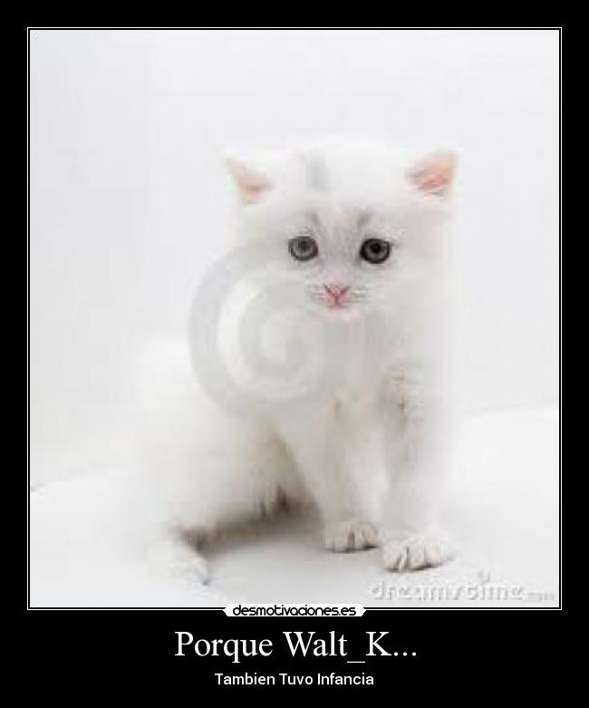 Porque Walt_K... - 